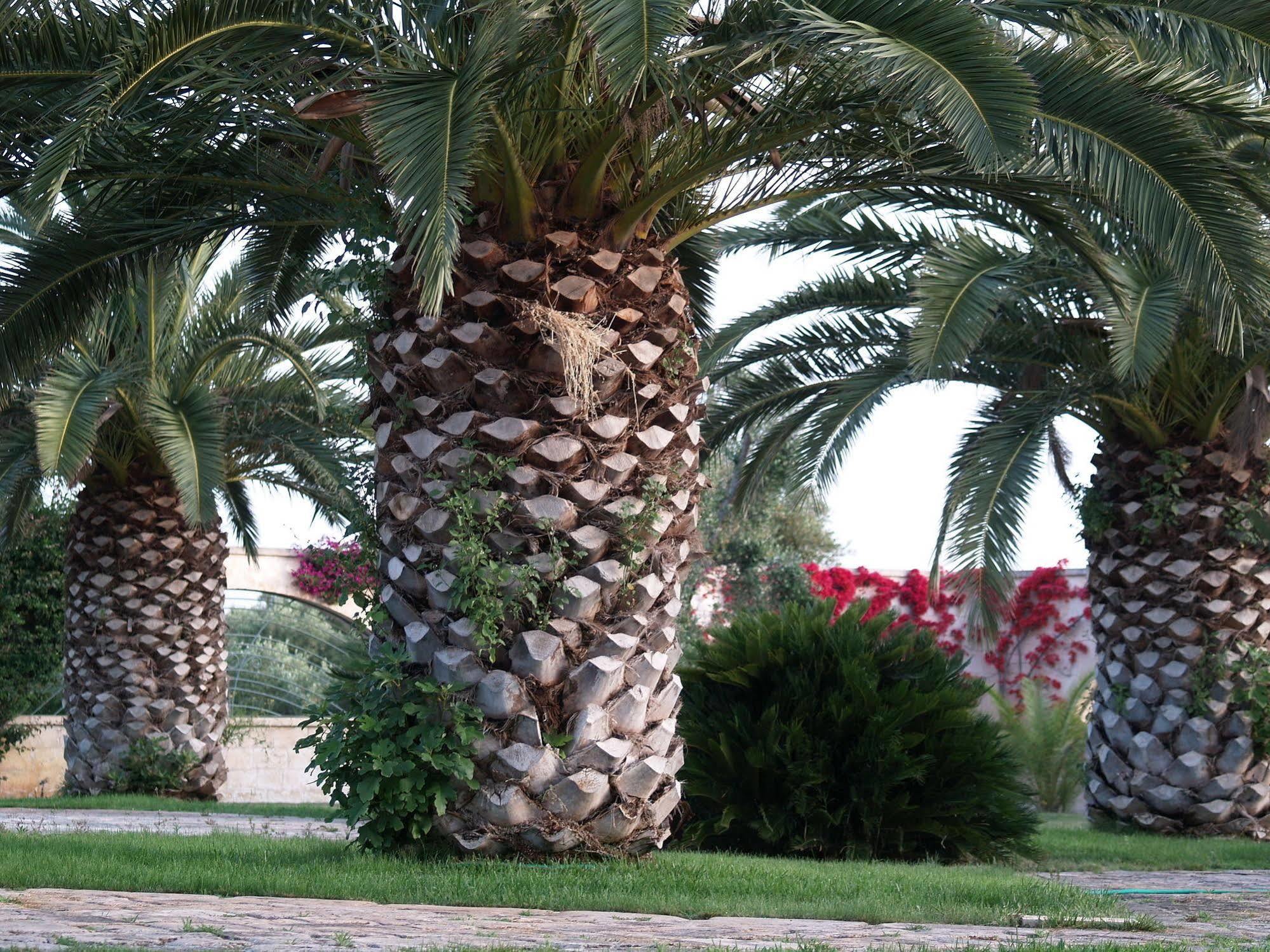 Hotel Masseria Tutosa Ostuni Exteriör bild